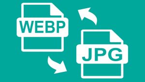 Read more about the article Optimizing Image Storage in Databases with JPG to WebP Conversion